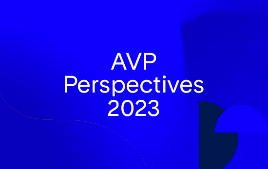 AVP Perspectives 2023